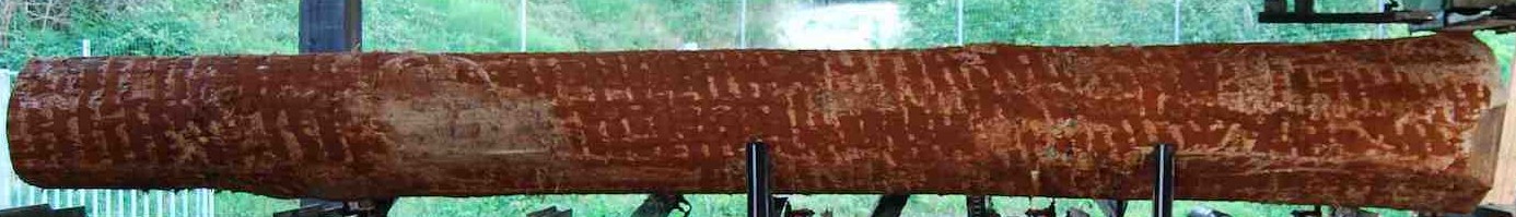 Scierie Mobile Dauvergne