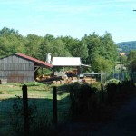 scierie mobile dauvergne sardent creuse 23